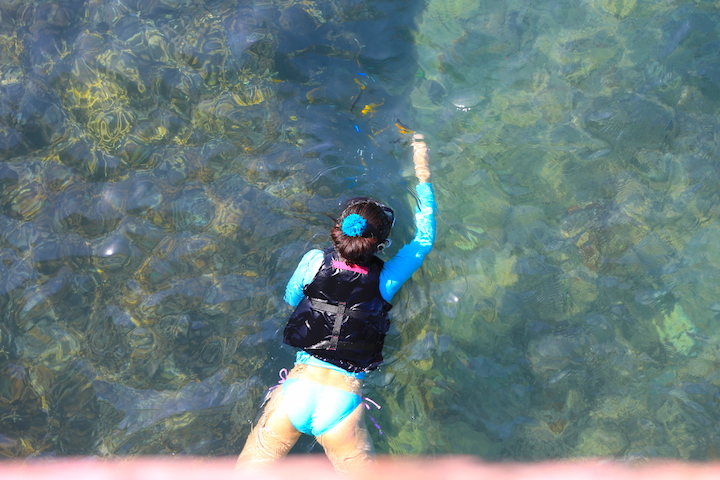 イムギャーマリンガーデンでシュノーケル