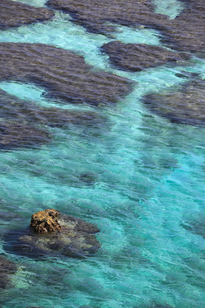 イムギャーマリンガーデン