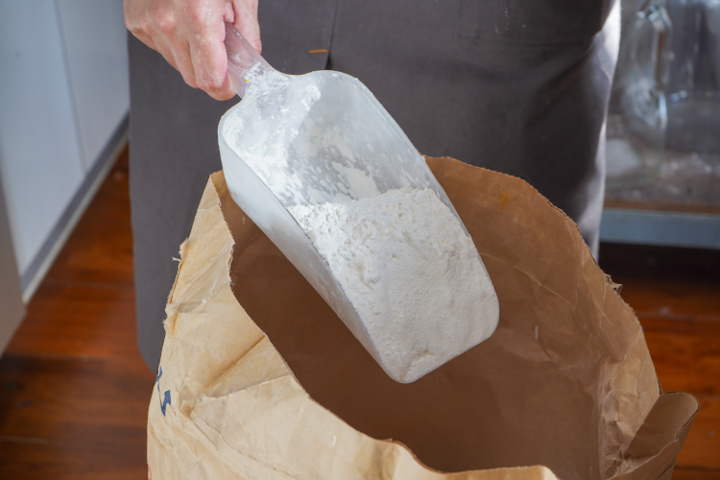 cotonowaで使用している「春よ恋」