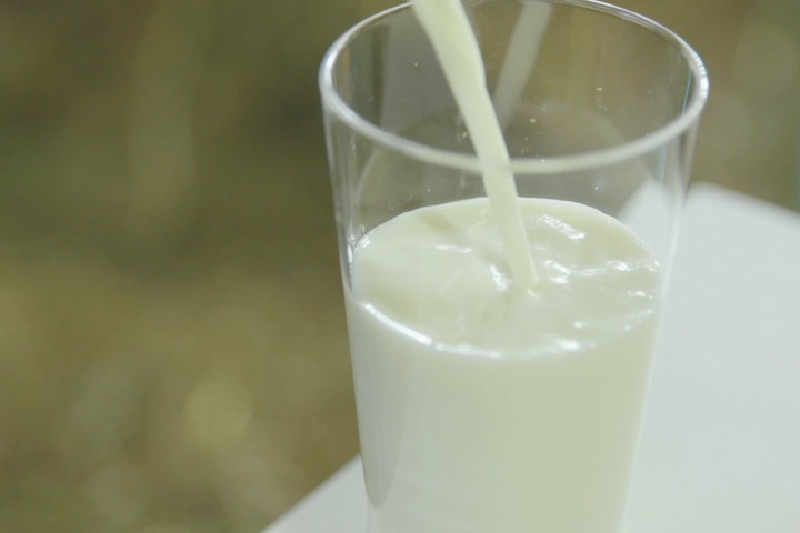 爽やかなコクがあっておいしい山口さんのヤギミルク