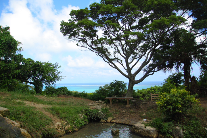 小さなベンチからは絶景のオーシャンビューも眺められます。