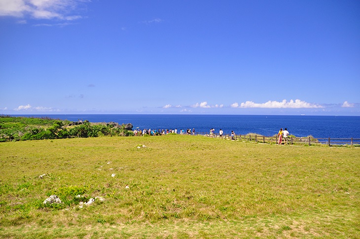 周り一帯の植生は「万座毛石灰岩植物群落」