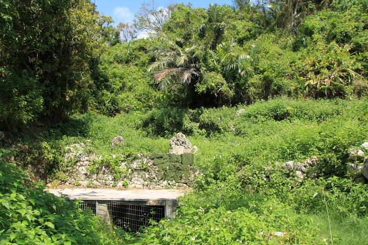 知念大川（ちねんうっかー）