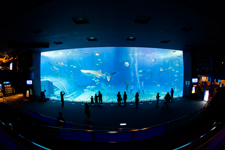 沖縄美ら海水族館