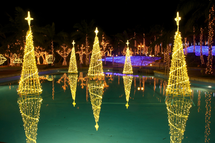 幻想的で夢の中のようなロマンチックな雰囲気