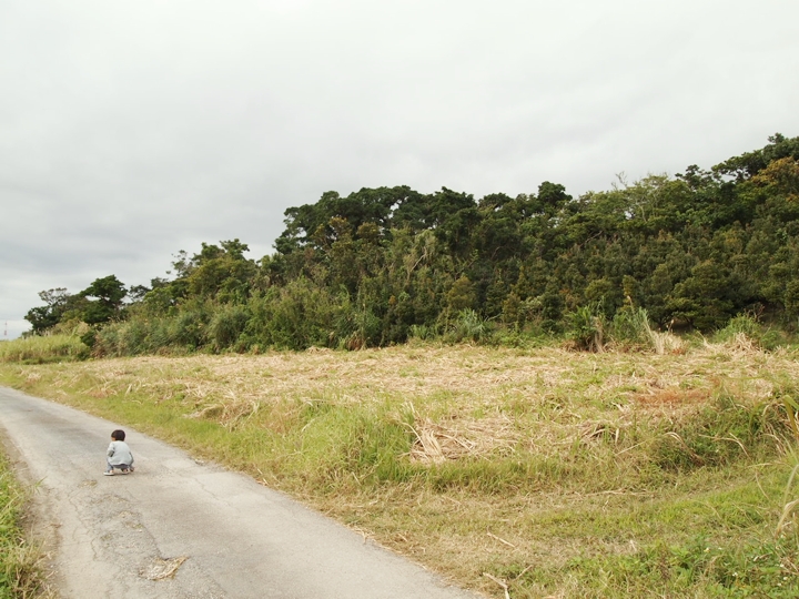 沖縄の土地