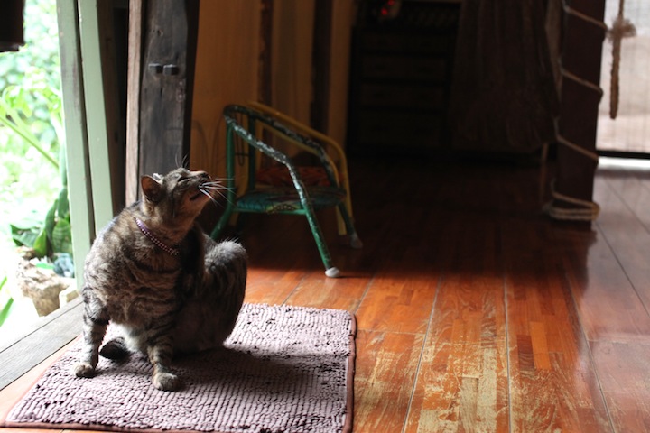 オープンな店内