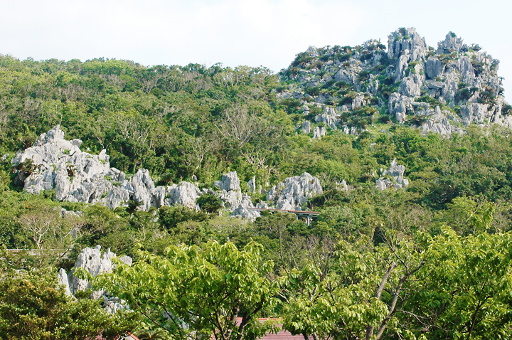 大石林山（だいせきりんざん）