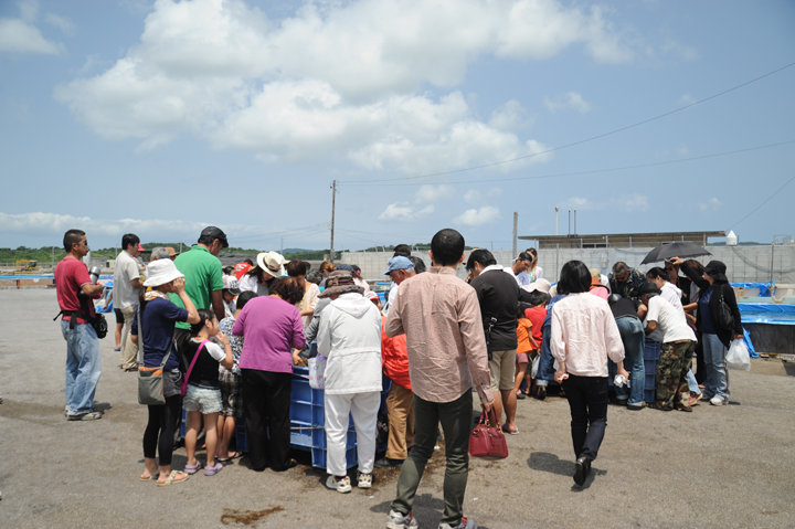 生もずくのつかみ取りのコーナー