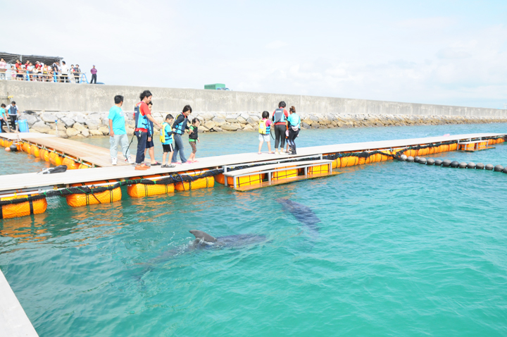 ドルフィンファンタジー内