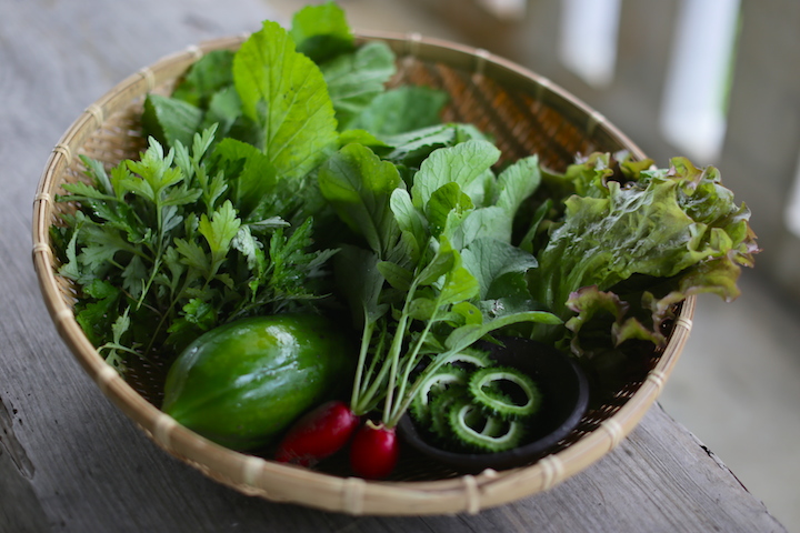 裏庭で収穫された野菜