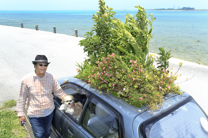 屋根の上に木の生えた車