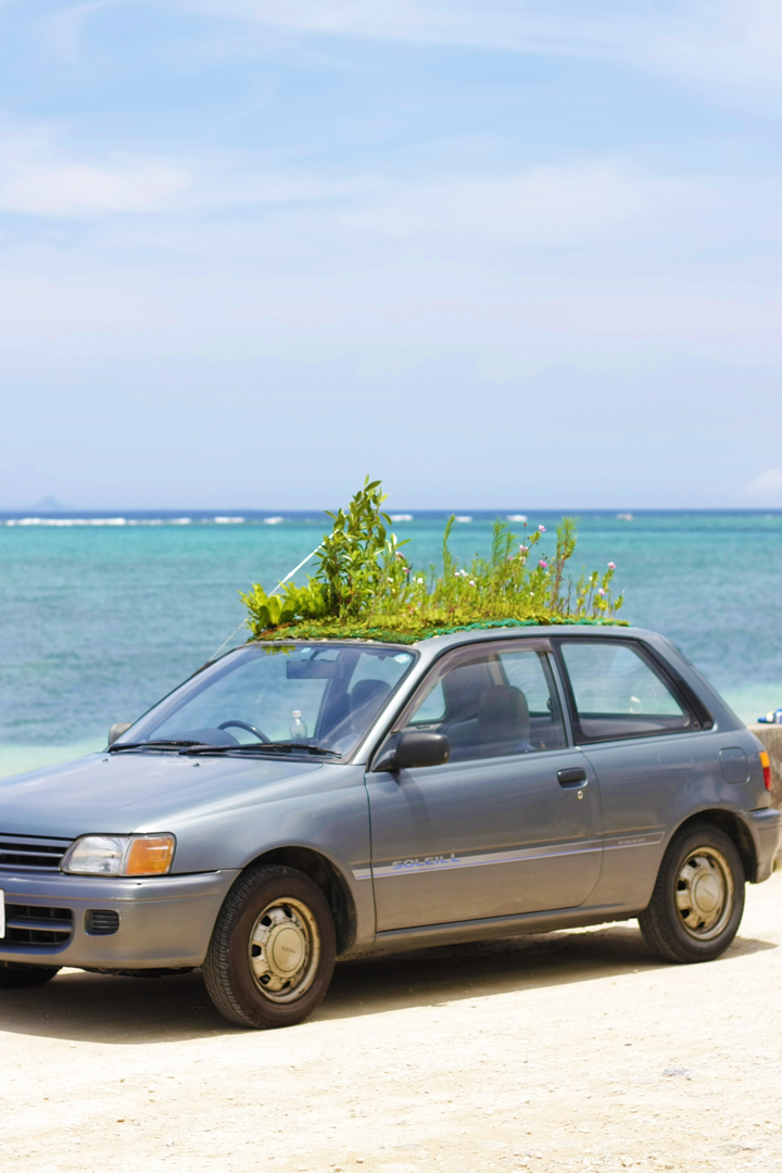 車上の花畑