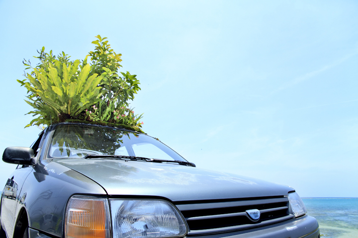 車検のときは上の草木を外して、再度取り付ける