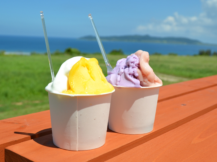 ミルミル本舗のジェラート