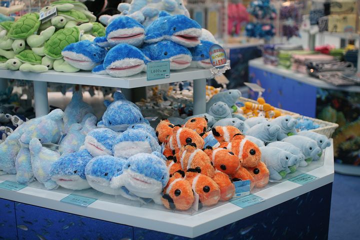 沖縄美ら海水族館で人気の水族館グッズ