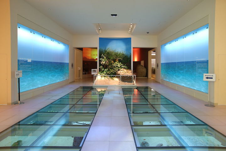 沖縄県立博物館・美術館の館内