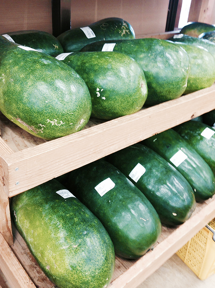 冬瓜