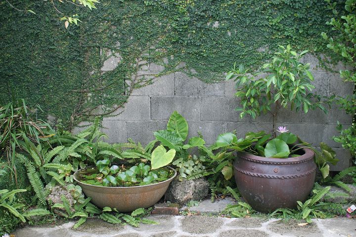 沖縄そばの店　屋宜家