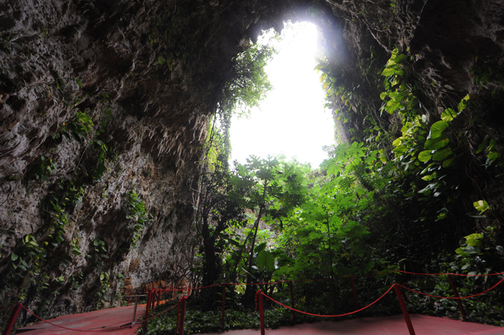 仲原鍾乳洞の中からの眺め