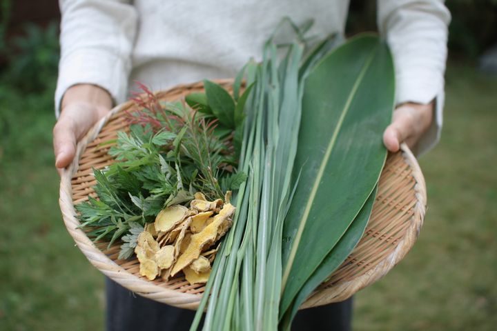 ハーブサウナで使うハーブ