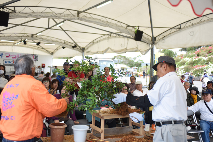 つつじの育て方教室