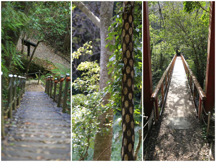 比地大滝までの道々