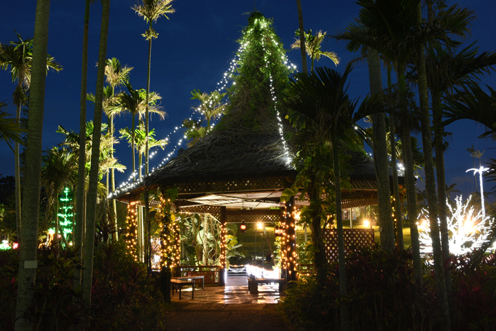 東南植物楽園のライトアップ