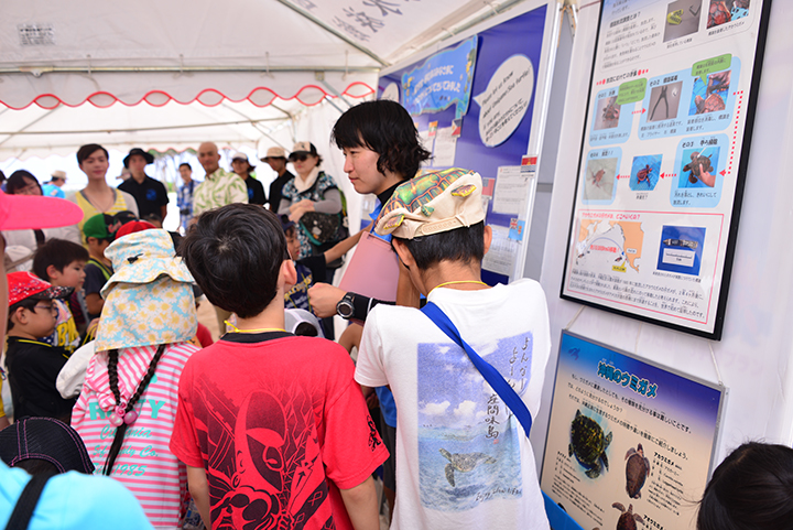 ウミガメ放流会