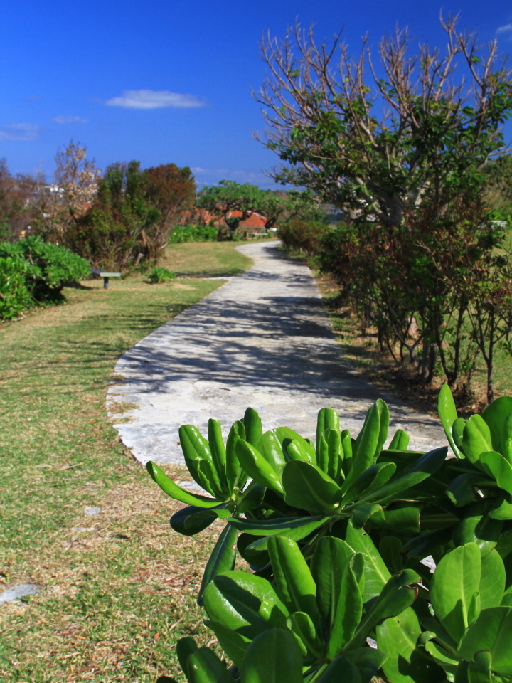 渡具知ビーチの遊歩道