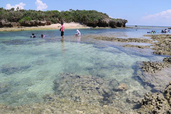 干潮時にはぐっと潮が引き、底がすけて見えるほどの浅瀬になります。