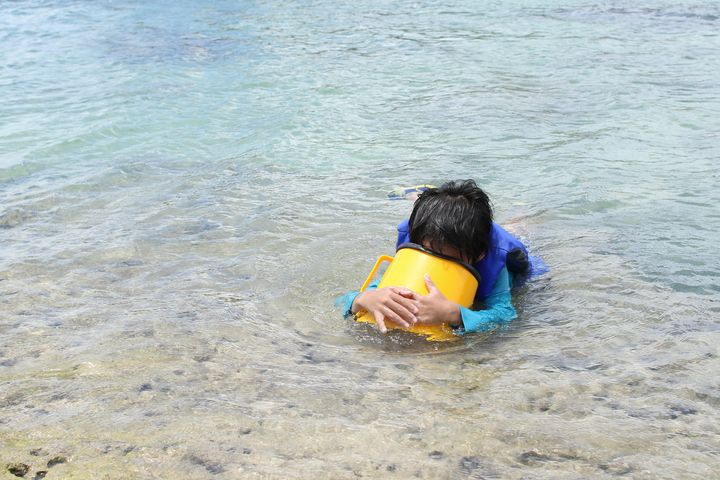 水中観察できるアクアスコープで見る