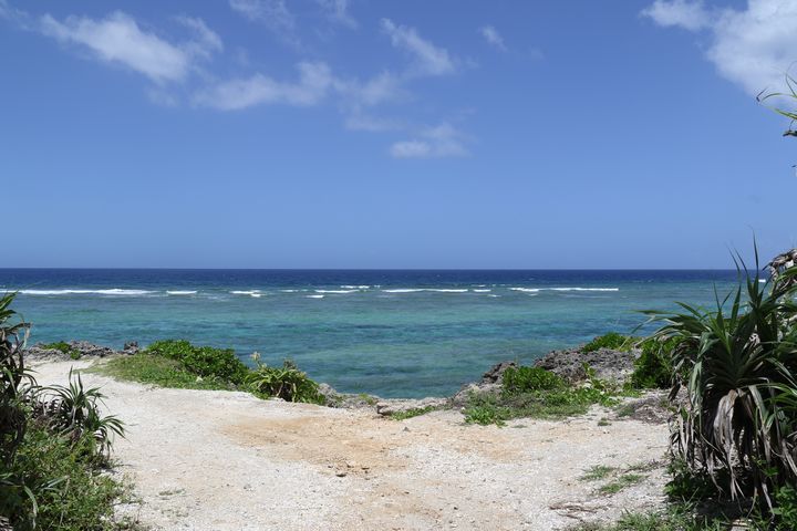 海岸からの海の眺め