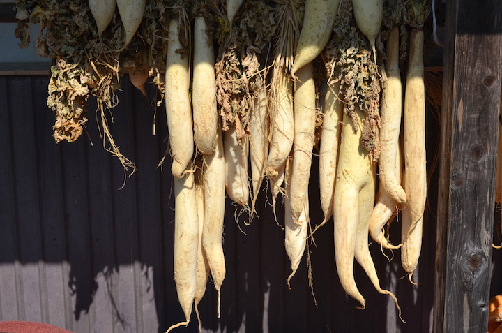 大根を干している