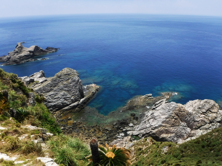 岬の先端からの眺め