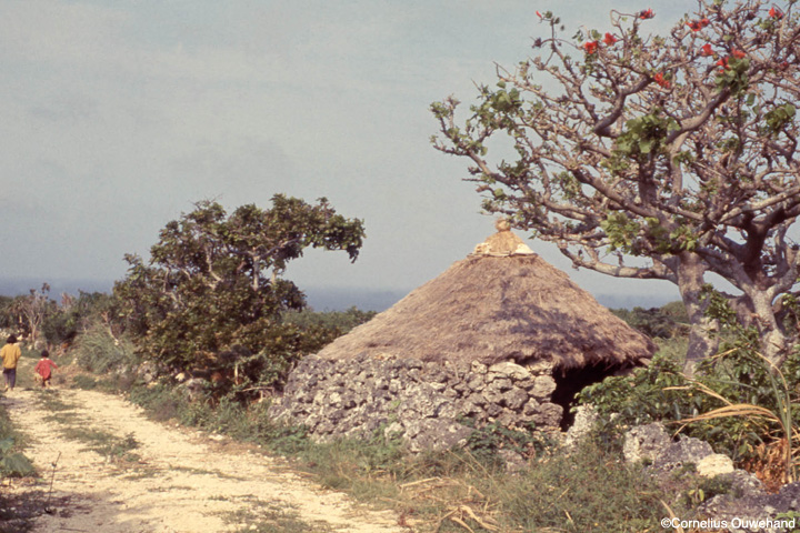 波照間島（はてるまじま）の祭祀や風習、風景