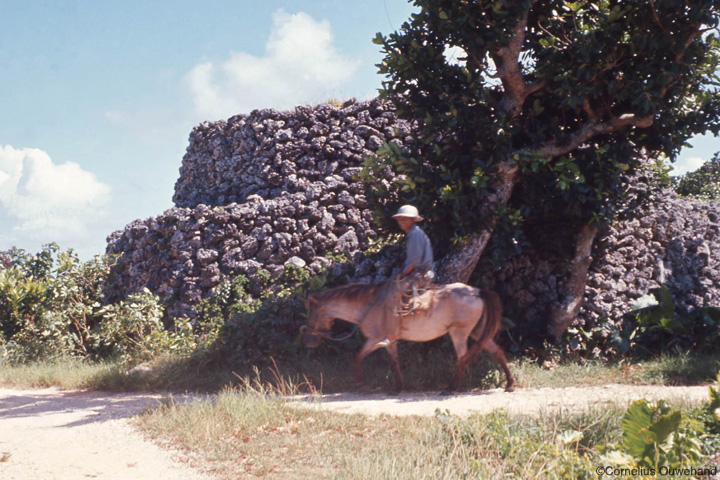 波照間島（はてるまじま）の祭祀や風習、風景