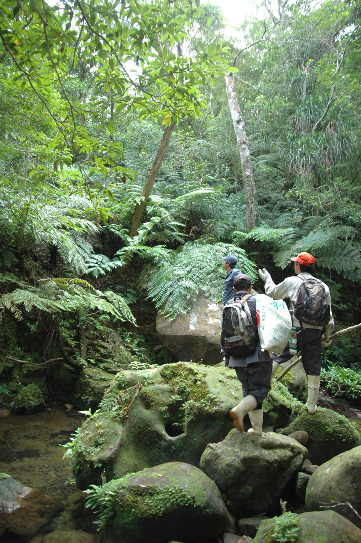 沢やゴツゴツした岩場