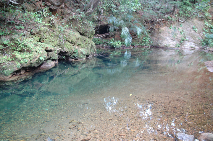 川、澄んでいてとてもきれいです。