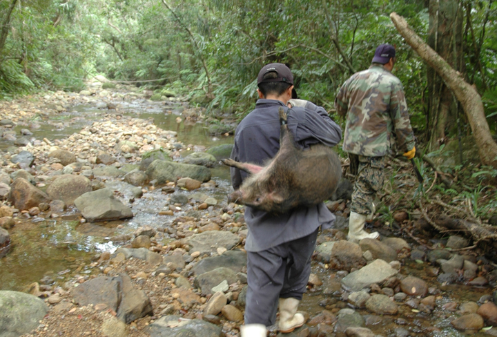 担がれた背中でジタバタしているイノシシ