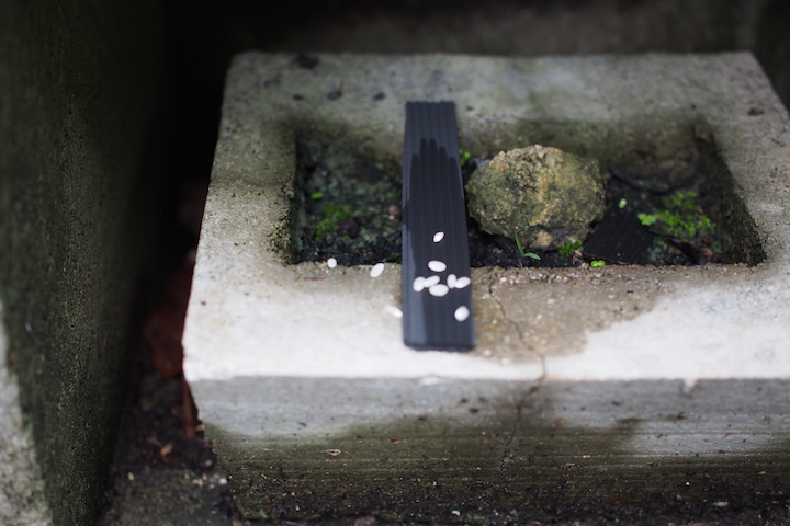 ウガンジュ(拝所)