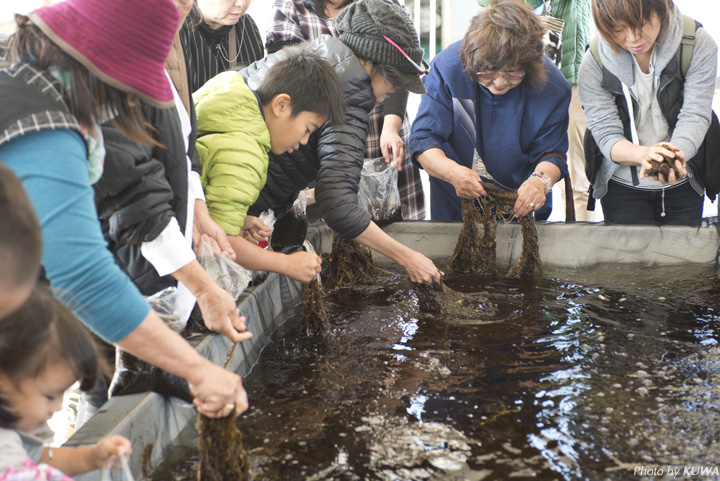 モズクのつかみ取り