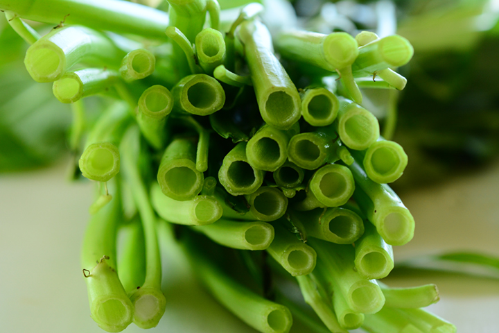 ウンチェーまたは空芯菜(クウシンサイ)