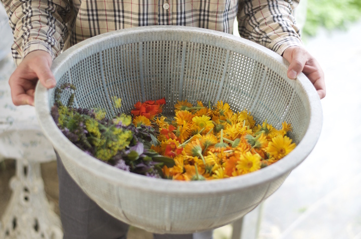 岸本ファームのハーブや食花