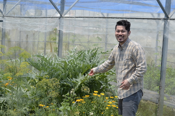 岸本ファームの野菜やハーブを見る優さん