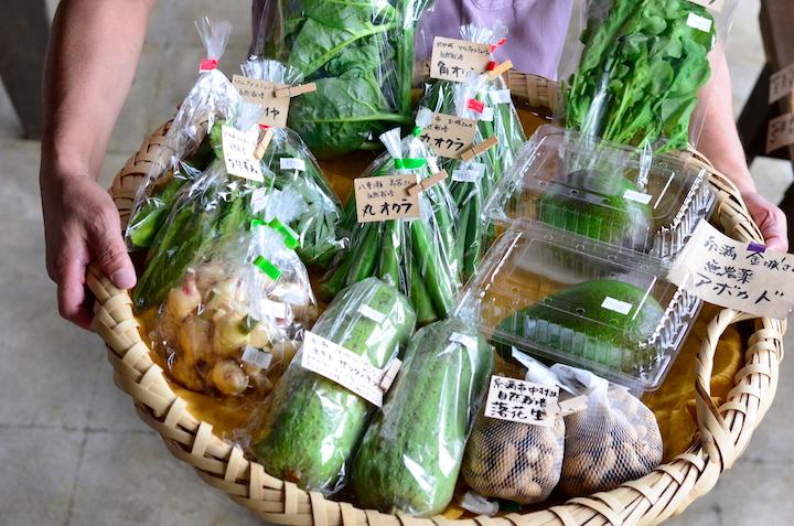わが家のハルラボ商店の野菜