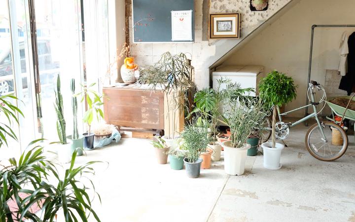 ハム・ソーセージのスペシャリティショップ「TESIO」