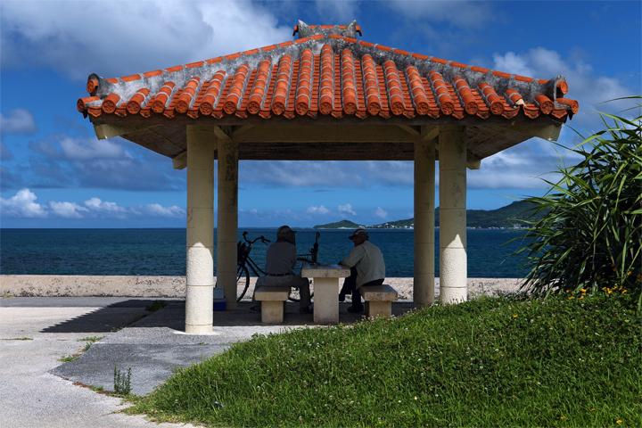 海岸からの眺め