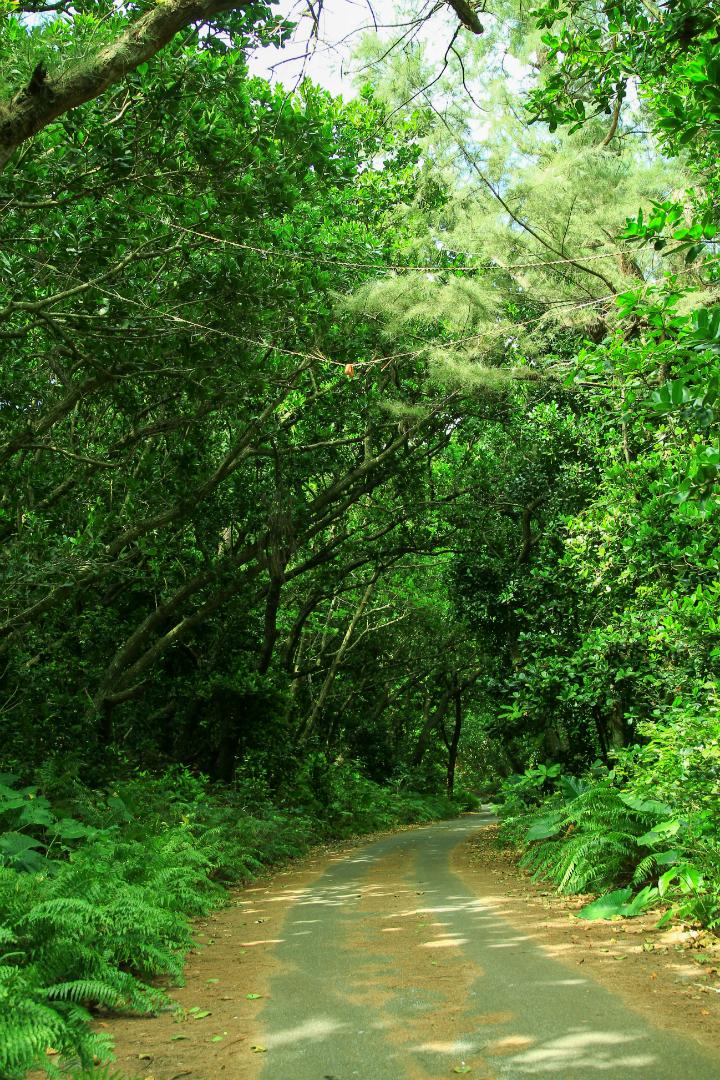 集落の入口に動物の骨を挟んだ左縄