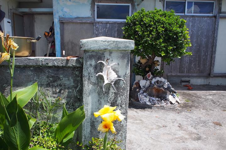 火難除けや魔除けのスイジガイ（水字貝）